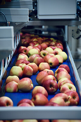 преработка на земеделски продукти